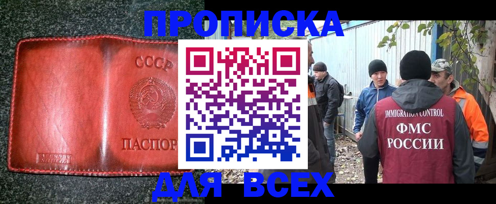 временная регистрация поиск в Невеле